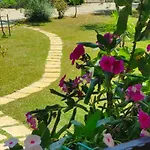 Σπίτι διακοπών House Άγιος Μάμας
