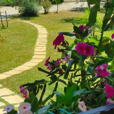 Σπίτι διακοπών House Άγιος Μάμας
