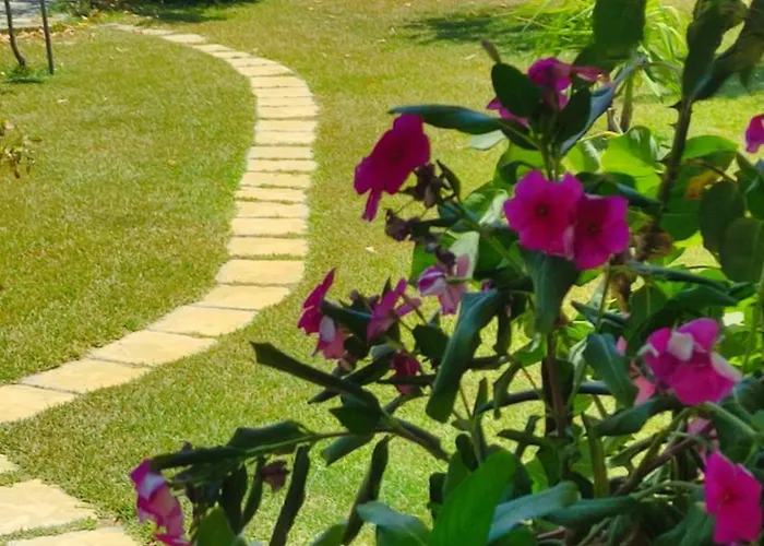 Casa vacanze House Agios Mamas (Chalkidiki)